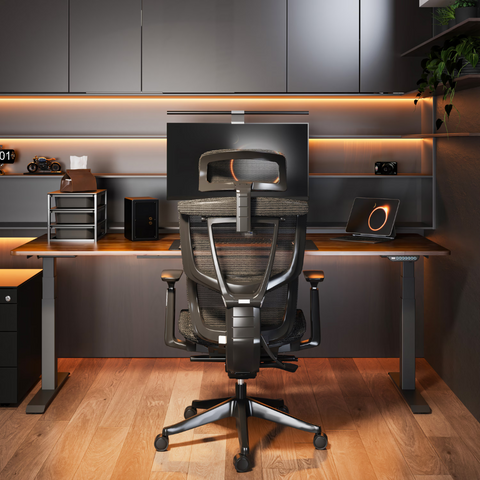 FlexiSpot C7