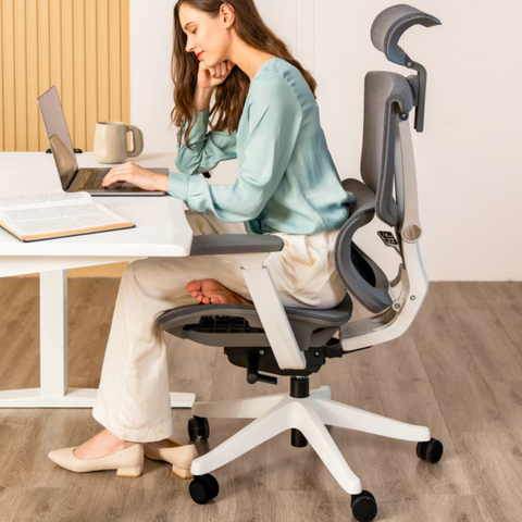 FlexiSpot C7