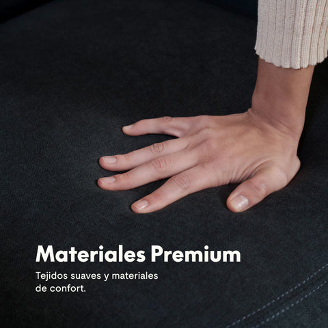 Sillón Reclinable Eléctrico X1