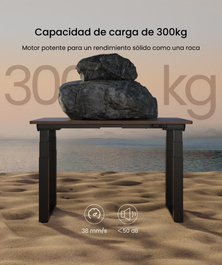 Capacidad de carga de 300 kg