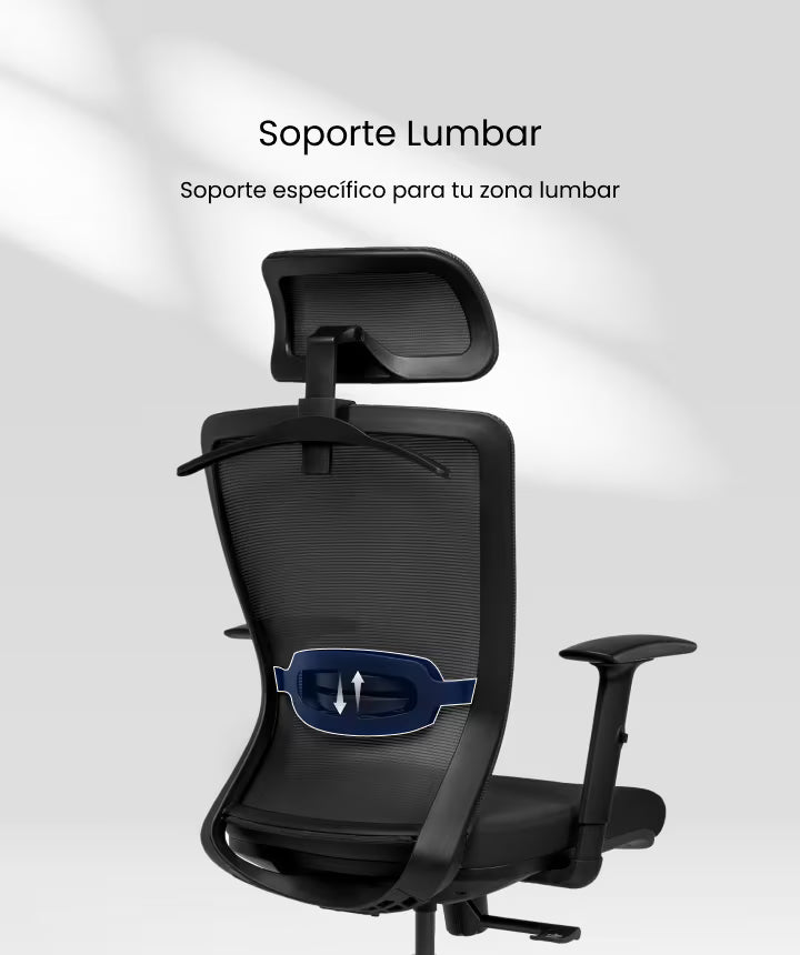 Silla BS3