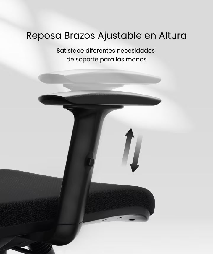 Silla BS3