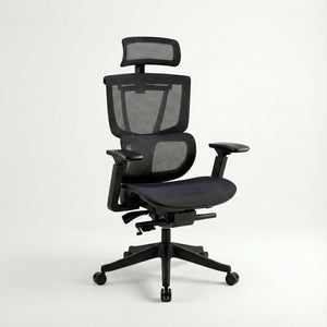 FlexiSpot C7