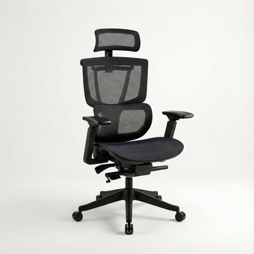 FlexiSpot C7