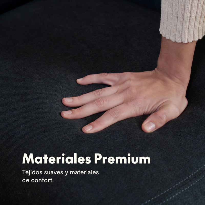 Sillón Reclinable Eléctrico X1