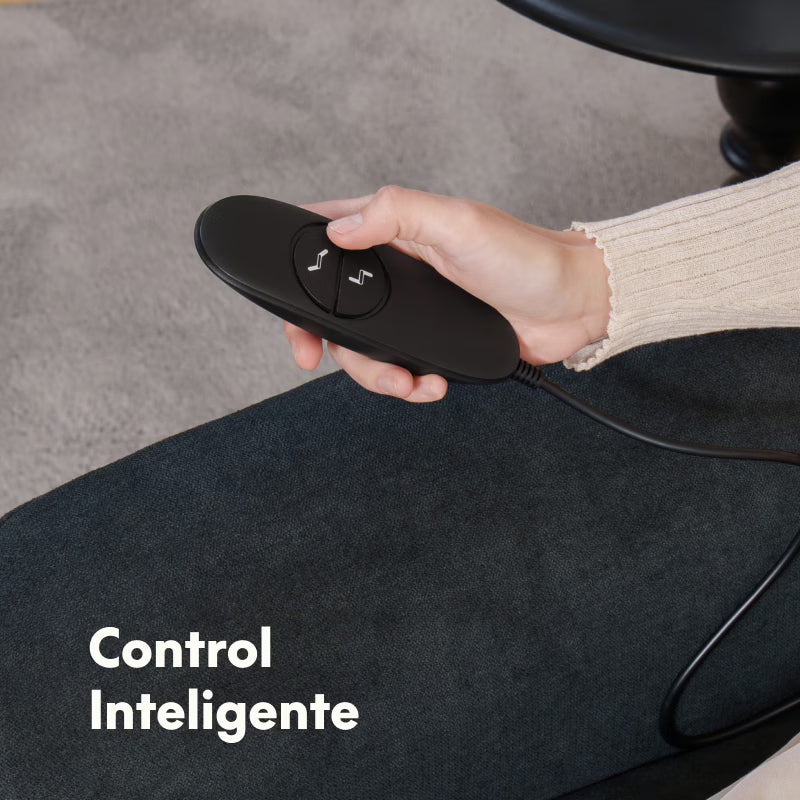 Sillón Reclinable Eléctrico X1