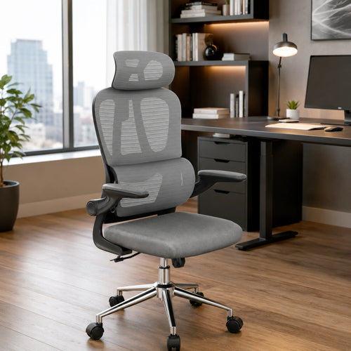 Silla OC19